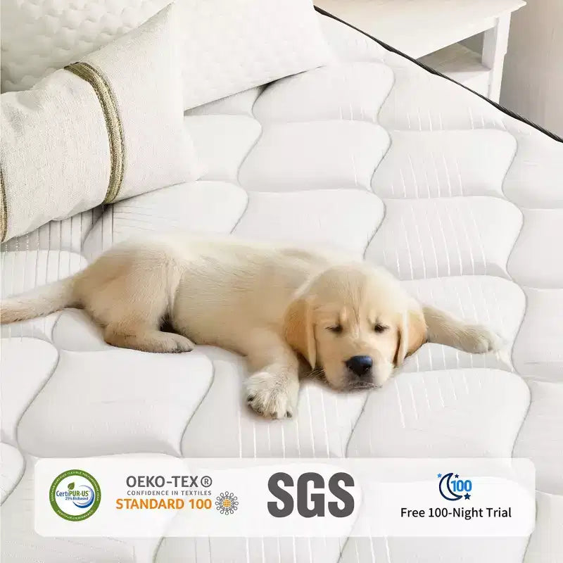 Materasso Ibrido in Memory Foam Rinfrescante a Media Durezza Confezionato in Scatola Nero